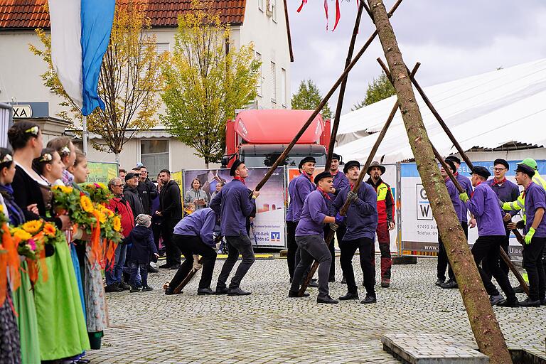 Hauruck hieß es am Kirchweihsamstag für die Rafelder Planbuschen, die traditionell den Kirchweihbaum am Marktplatz aufstellen.