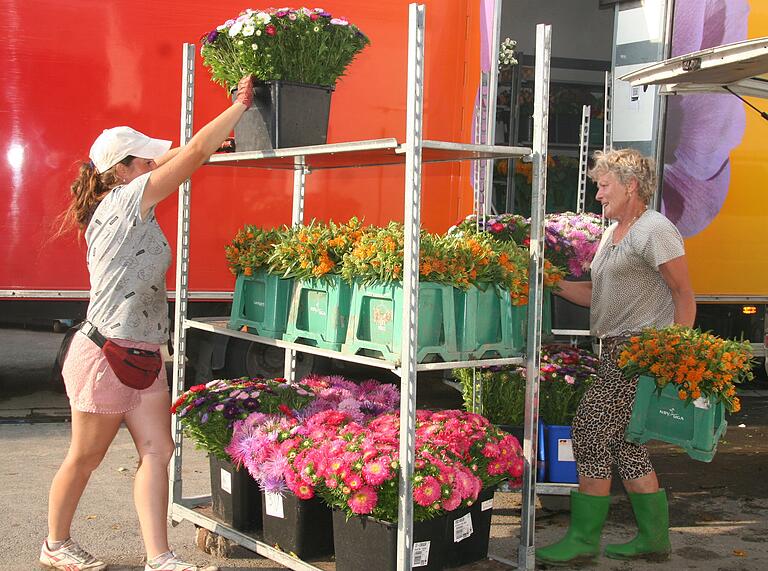 Auf den Feldern schneiden die Mitarbeiterinnen in der Etwashäuser Gärtnerei von Bernd Lang die Blumen und laden die Schnittblumen-Kübel dann im Betrieb ab.