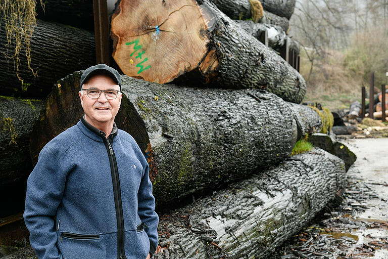 Hatte viel zu tun, um genug mächtige Eichenstämme für das Furnier- und Sägewerk Mehling &amp; Wiesmann in Lohr zusammenzubekommen:&nbsp; Geschäftsführer Richard Weis.