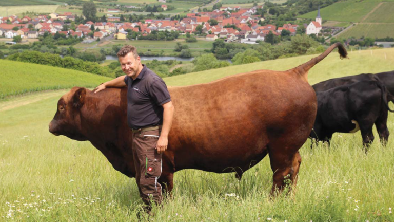 Angus Hochrein       -  Feinstes Premium Fleisch von Rindern aus 100%-iger Weidehaltung.