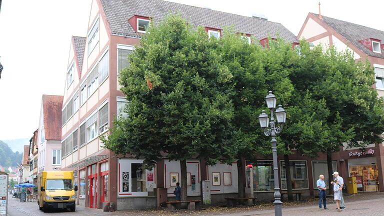 Die Firma Mylocalfarm aus der Nähe von Würzburg will nun doch keine Markthalle für regionale landwirtschaftliche Erzeugnisse im früheren Kupsch-Markt am oberen Lohrer Marktplatz unterbringen. Die Linden vor dem Gebäude, die einer Außengastronomie weichen sollten, sind damit gerettet. Die Firma Mylocalfarm aus der Nähe von Würzburg will nun doch keine Markthalle für regionale landwirtschaftliche Erzeugnisse im früheren Kupsch-Markt am oberen Lohrer Marktplatz unterbringen. Die Linden vor dem Gebäude, die einer Außengastronomie weichen sollten, sind damit gerettet. 
