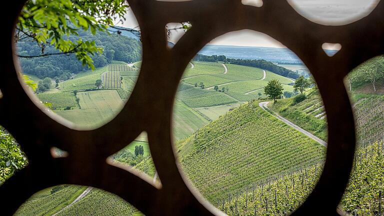 Unterwegs in den Weinbergen von Castell im Landkreis Kitzingen: Auf der Tour lohnt ein Abstecher zur schönsten Weinsicht 2012 in Franken machen. Das Deutsche Weininstitut hat damals die Auszeichnung an den Casteller Schlossberg verliehen.