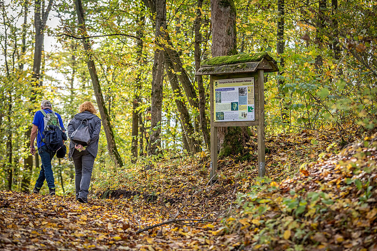 Wanderer passieren die Infotafel des Basaltbruchs. Wanderer passieren die Infotafel des Basaltbruchs.