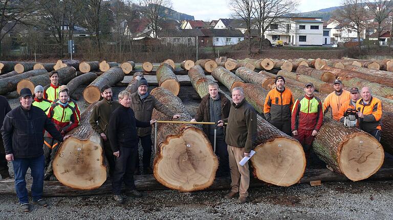 Der Wald spült Geld in die Gemeindekasse. Unser Bild zeigt die Eichensubmission von März 2021. Der Wald spült Geld in die Gemeindekasse. Unser Bild zeigt die Eichensubmission von März 2021.