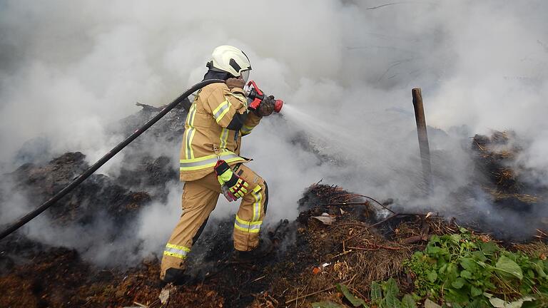 Einen größeren Waldbrand konnten die Feuerwehren aus Haßfurt und Wülflingen vor rund einem Jahr knapp verhindern. Knapp 15 000 Liter Wasser waren nötig, um das Feuer am Waldrand unter Kontrolle zu bringen.