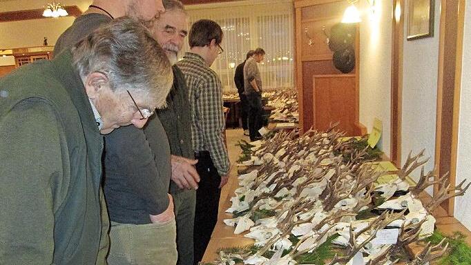 Hohes Interesse zeigten die Jagdausübenden an den Trophäen, die im Saal des Gasthofs „Stern“ in großer Zahl ausgelegt waren.       -  Hohes Interesse zeigten die Jagdausübenden an den Trophäen, die im Saal des Gasthofs „Stern“ in großer Zahl ausgelegt waren.