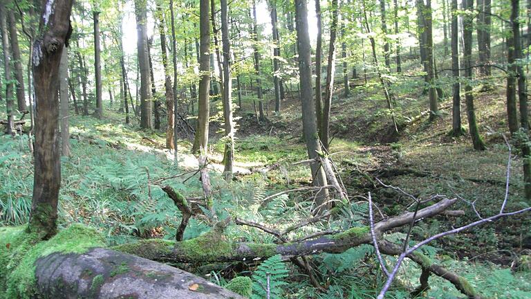 Oben: die Kaskadenschlucht, unten der Ausgangspunkt Moordorf. Rechts: Aussichtsturm am Roten Moor. Links: Der Bohlenweg am Roten Moor, Andrea Habel und Marilyn Munro-Heim führen ihre Hunde aus. Fotos: Joachim Rübel - Oben: die Kaskadenschlucht, unten der Ausgangspunkt Moordorf. Rechts: Aussichtsturm am Roten Moor. Links: Der Bohlenweg am Roten Moor, Andrea Habel und Marilyn Munro-Heim führen ihre Hunde aus. Fotos: Joachim Rübel Oben: die Kaskadenschlucht, unten der Ausgangspunkt Moordorf. Rechts: Aussichtsturm am Roten Moor. Links: Der Bohlenweg am Roten Moor, Andrea Habel und Marilyn Munro-Heim führen ihre Hunde aus. Fotos: Joachim Rübel - Oben: die Kaskadenschlucht, unten der Ausgangspunkt Moordorf. Rechts: Aussichtsturm am Roten Moor. Links: Der Bohlenweg am Roten Moor, Andrea Habel und Marilyn Munro-Heim führen ihre Hunde aus. Fotos: Joachim Rübel