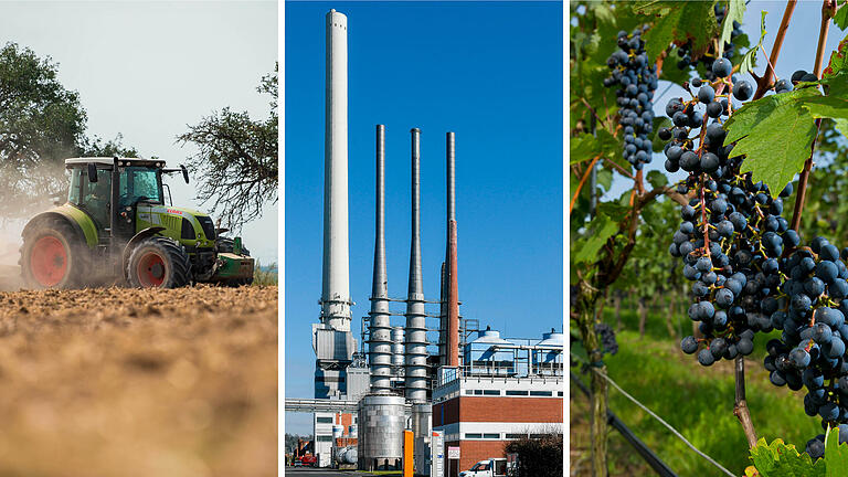 Landwirtschaft, Industrie, Weinbau: Viele Branchen in Unterfranken benötigen - und wollen - große Mengen an Wasser.&nbsp;