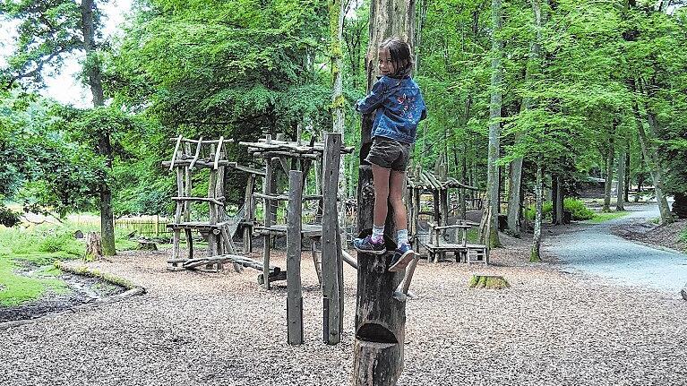 Im Wild-Park Klaushof gibt es drei verschiedene Spielplätze.