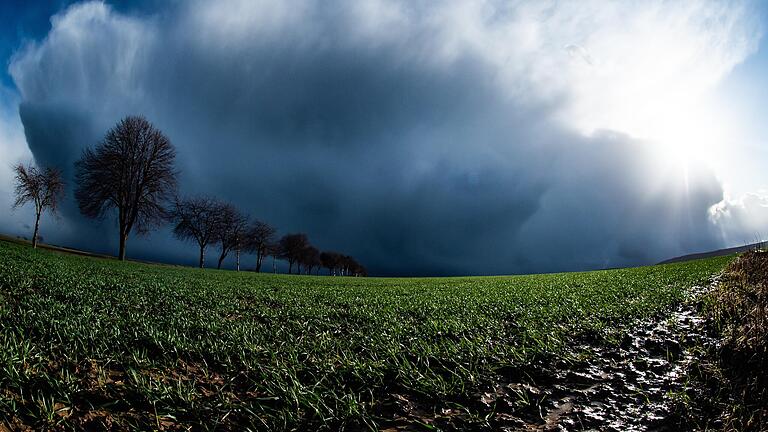 Regenwolken ziehen über ein Feld.