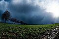 Regenwolken ziehen über ein Feld.