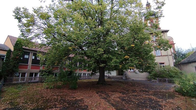 Im Pausenhof wachsen Moos und eine große Linde, in der alten und der historischen Schule in Retzbach wird schon lange nicht mehr unterrichtet. In der Bürgerversammlung wurde ein Konzept zum Umbau in barrierefreien Wohnungen präsentiert.