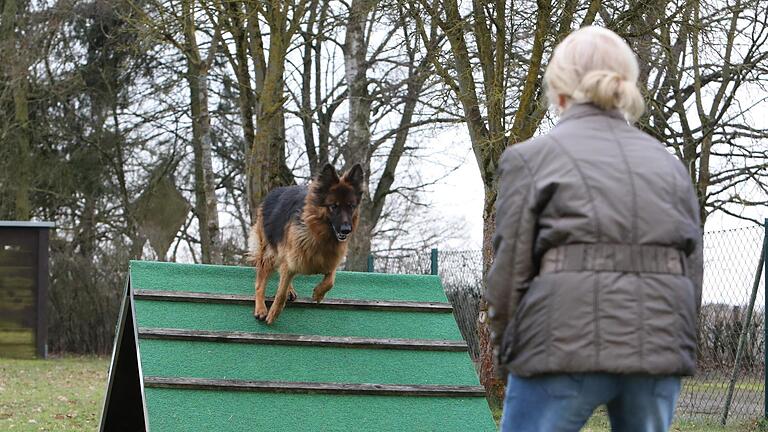 Umstritten ist in Eckartsroth die Errichtung einer Hundetrainingshalle. Die Ablehnung durch den Gemeinderat wurde nun aber für rechtswidrig erklärt.       -  Umstritten ist in Eckartsroth die Errichtung einer Hundetrainingshalle. Die Ablehnung durch den Gemeinderat wurde nun aber für rechtswidrig erklärt.