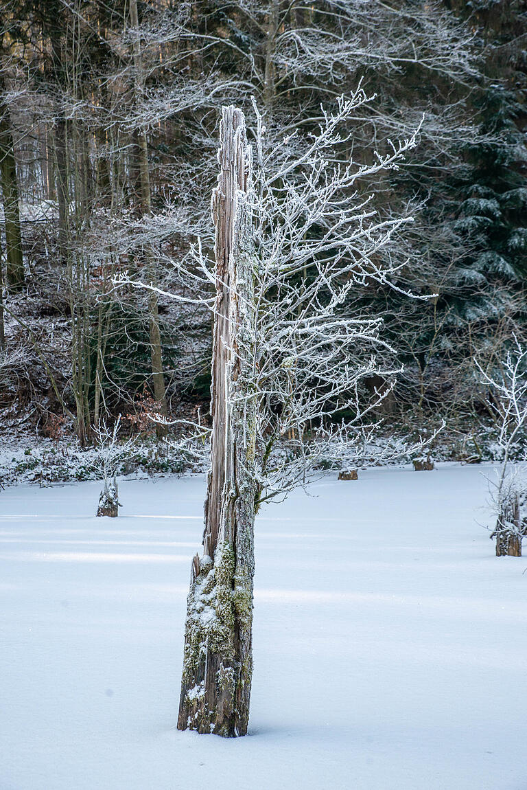 Der aktuelle Winter ist relativ harmlos und sorgt nur sporadisch für frostige Bilder wie dieses. Ganz anders war die Lage im Lohrer Raum vor 60 Jahren.&nbsp;