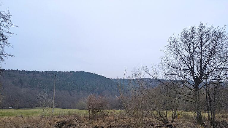 Unteralb des Quästenbergs, auf dem ehemals die Burg Steineck lag, fließt die Saale. - Unteralb des Quästenbergs, auf dem ehemals die Burg Steineck lag, fließt die Saale. Unteralb des Quästenbergs, auf dem ehemals die Burg Steineck lag, fließt die Saale. - Unteralb des Quästenbergs, auf dem ehemals die Burg Steineck lag, fließt die Saale.