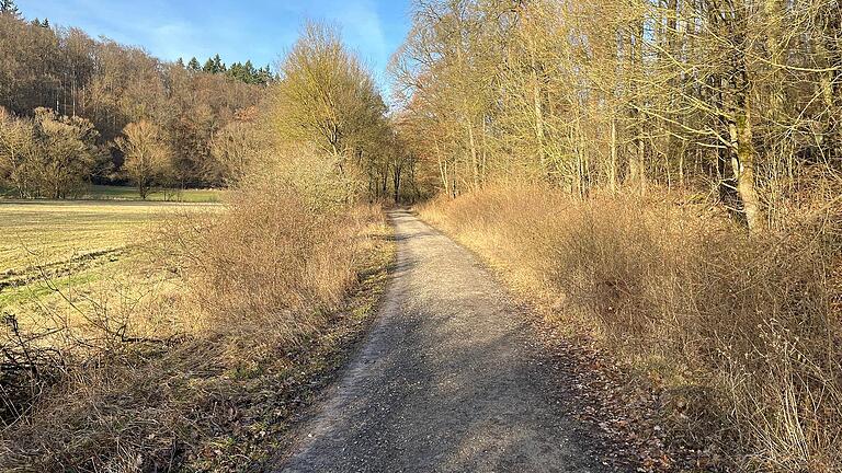 Georg Harbauers Lieblingslaufstrecke von Maidbronn in und durch den Grammschatzer Wald bietet viele Natur-Highlights.