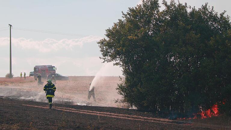 Auf insgesamt etwa zehn Hektar brannten Felder und Büsche oberhalb von Zell am Main. Bei den Löscharbeiten waren auch Feuerwehrleute aus dem Landkreis Würzburg im Einsatz.