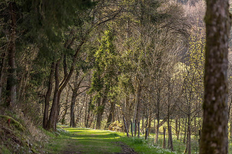 Die Rundwanderung bietet viel Natur mit Wald und Wiesen und zahlreichen Felsformationen.