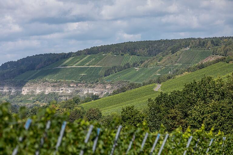 Eingebettet in das landschaftlich reizvolle Maintal zwischen sonnenverwöhnten Weinbergen und weitläufigen Waldgebieten liegt Himmelstadt etwa sieben Kilometer mainaufwärts von Karlstadt.&nbsp;