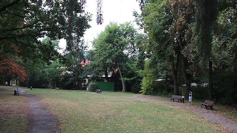 Dieses an den Krankenhaus-Parkplatz angrenzende Grundstück verkauft der Landkreis nicht. Dort könnte ein Neubau der Caritas-Sozialstation entstehen.