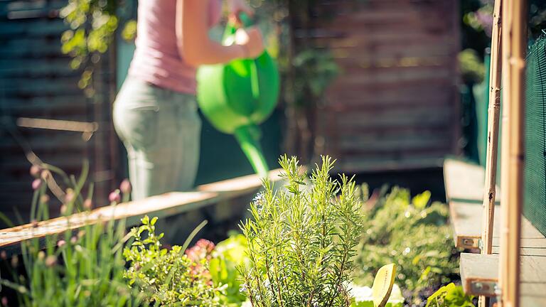 Wer sein Gemüse und seine Kräuter in ein Hochbeet pflanzt, schützt sie besser vor Schädlingen und muss sich bei der Gartenarbeit nicht mehr bücken.