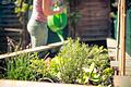 Wer sein Gemüse und seine Kräuter in ein Hochbeet pflanzt, schützt sie besser vor Schädlingen und muss sich bei der Gartenarbeit nicht mehr bücken.