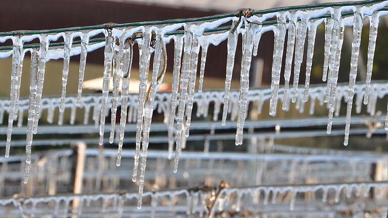 Den Teufel mit dem Beelzebub austreiben? Die Eisschicht soll die empfindlichen Reben vor dem Frühjahrsfrost schützen.