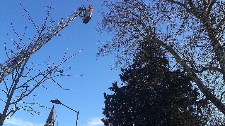 Warten auf den neuen Einsatz: Mit der Feuerwehrleiter rückte der städtische Bauhof in den vergangenen Jahren an, um die Saatkrähen in der Innenstadt am Bau von Nestern zu hindern. Ob das im Frühjahr 2018 wieder so sein wird, ist derzeit noch nicht entschieden. Noch stehen die Vögel unter Beobachtung.