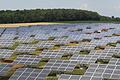 Fast ein Viertel des Gesamtstromverbrauchs im Landkreis wurde im Jahr 2020 schon von heimischen Photovoltaik-Anlagen produziert. Im Bild ist der Solarpark Erlasee der Solon AG bei Arnstein.