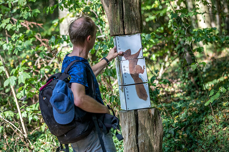 Unterwegs auf dem Kulturweg 'Über sieben Hügel kannst Du gehn' in Marktheidenfeld. Eine kleine Etappe des Weges verläuft auf dem Waldwichtelweg.