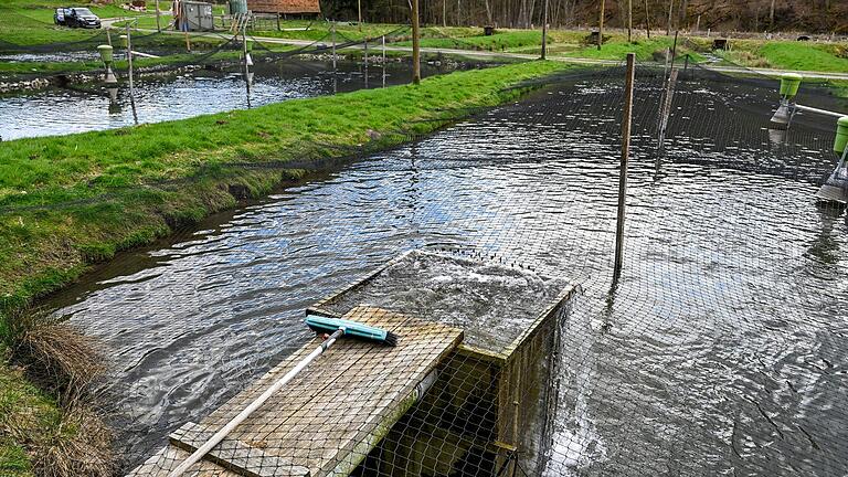 Nach einem Unfall, bei dem ein Kleintransporter umgekippt ist, sind 500 Liter Heizöl in die Hafenlohr gelaufen. Das Bild zeigt Fischteiche der Forellenzucht Hochspessart.