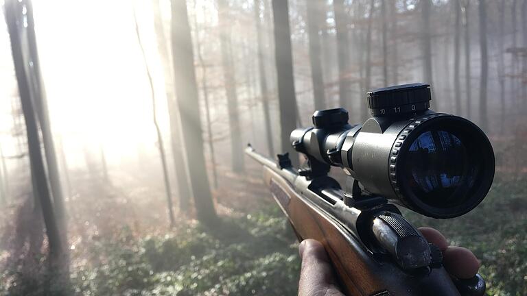 Geht es nach den Anordnungen des LfU, geraten die jungen Wolfshybriden jetzt ins Visier (Symbolfoto) ausgewählter Jäger.