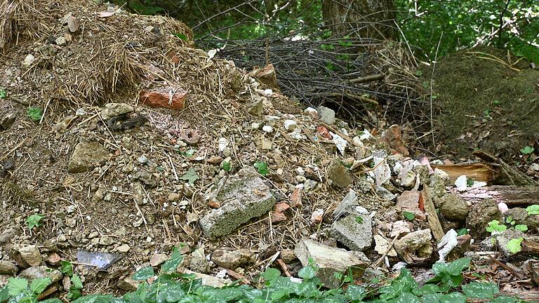 Abgeladener Müll im Wald in Büchold (Arnstein): Ein Spaziergänger hat diesen entdeckt und die Stadt kontaktiert.