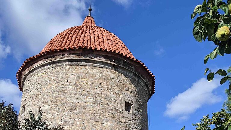 Vor zwei Jahren hat der 'Dicke Turm' in Eibelstadt ein neues Dach bekommen. Er ist eines von zehn Denkmälern, die Besucherinnen und Besuchern am zweiten Septemberwochenende offenstehen. Vor zwei Jahren hat der 'Dicke Turm' in Eibelstadt ein neues Dach bekommen. Er ist eines von zehn Denkmälern, die Besucherinnen und Besuchern am zweiten Septemberwochenende offenstehen. 