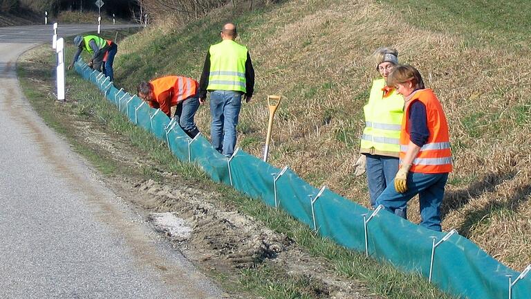 Die Helferinnen und Helfer des Bund Naturschutz bauen in diesen Tagen wieder Krötenzäune auf.