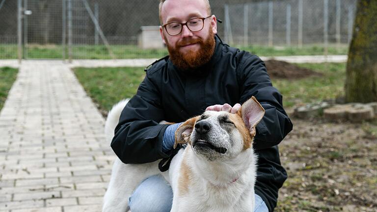 Maxim Iochim ist Tierpfleger und Pressesprecher des Tierheims Würzburg. Im Interview gibt er Haustierbesitzenden Tipps für die Silvesternacht.&nbsp;