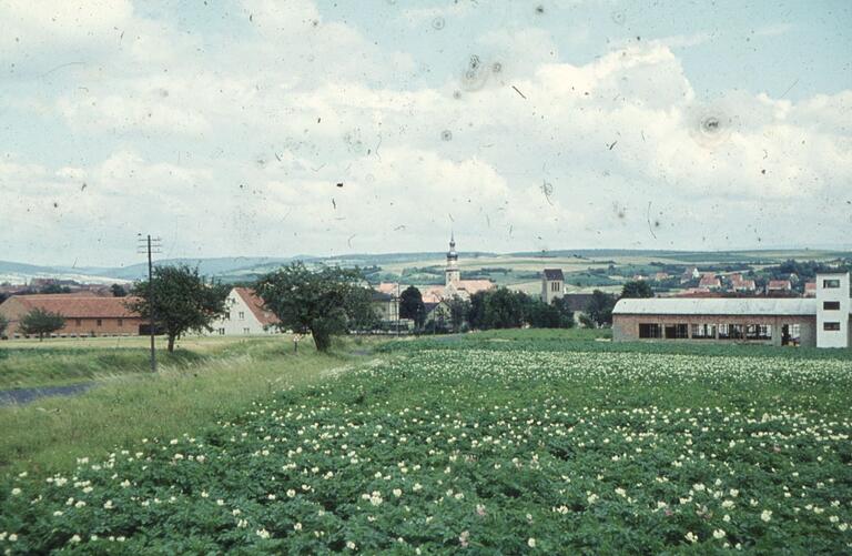 Ein Beispiel des Verfalls: Ein über 40 Jahre altes DIA der Stadt hat bereits Schimmelflecken.