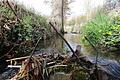 Der Repperndorfer Mühlbach in Kitzingen ist in der Regel ein friedliches Rinnsal, schwillt bei Starkregen aber mitunter zum reißenden Strom an.