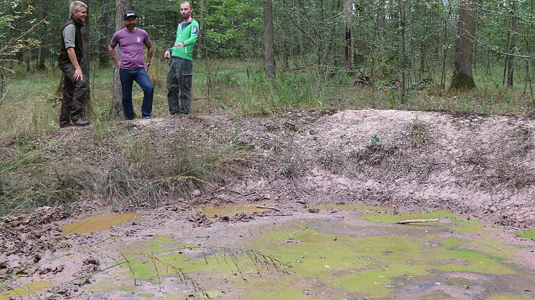 Die drei Projektpartner (von links) Andreas Schätzlein, Ranger im Naturpark Spessart, Franklin Zeitz von der Firma Spessartbrett und Mathias Huckle, Förster des Amt für Ernährung Landwirtschaft und Forsten vor einem Biotop, wie es bei Karbach angelegt werden soll. Die drei Projektpartner (von links) Andreas Schätzlein, Ranger im Naturpark Spessart, Franklin Zeitz von der Firma Spessartbrett und Mathias Huckle, Förster des Amt für Ernährung Landwirtschaft und Forsten vor einem Biotop, wie es bei Karbach angelegt werden soll.
