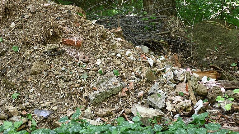 Ein Foto, wie es aus allen Wäldern im Lande stammen könnte: Immer wieder laden Menschen Müll im Wald ab, wie hier im Sommer 2022 in Büchold bei Arnstein. Ein Foto, wie es aus allen Wäldern im Lande stammen könnte: Immer wieder laden Menschen Müll im Wald ab, wie hier im Sommer 2022 in Büchold bei Arnstein. 