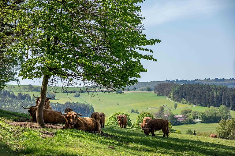 Tierische Begegnung am Wegesrand. Tierische Begegnung am Wegesrand. 