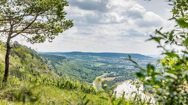 Der geologische Wanderweg mit Startpunkt in Gambach bietet immer wieder einen romantischen Blick ins Maintal.