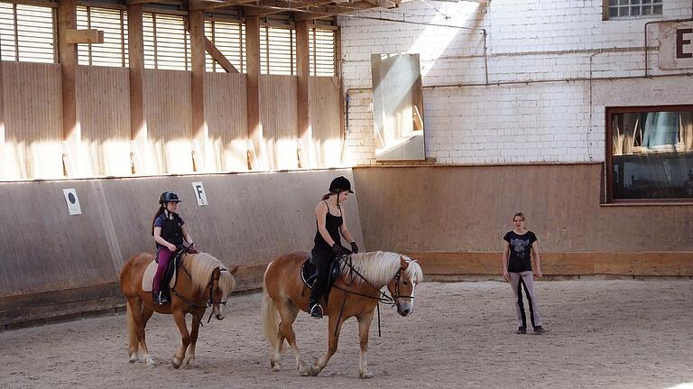 Eingestellt hat der Reitverein Schweinfurt den Reitunterricht für Kinder und Jugendliche. Die Schulungspferde wurden verkauft.