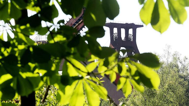 KINA - Tiere erobern alte Fabriken       -  Grün und Grau vereint: Hinter dem grünen Blätterdach eines Baumes kann man einen Förderturm der Zeche Zollverein in Essen sehen.