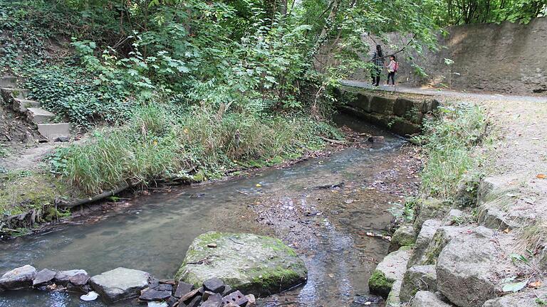 Am Volkachbach, wie hier in Gerolzhofen am Schillerplatz, herrscht derzeit wieder extremes Niedrigwasser. Am Volkachbach, wie hier in Gerolzhofen am Schillerplatz, herrscht derzeit wieder extremes Niedrigwasser.