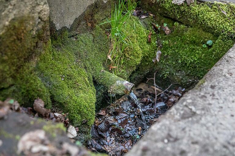 Die Quelle 'Hexenbrünnle' erhält ihr Wasser aus den Schichten des Oberen Muschelkalks über eine Wasser stauende Grenzschicht.