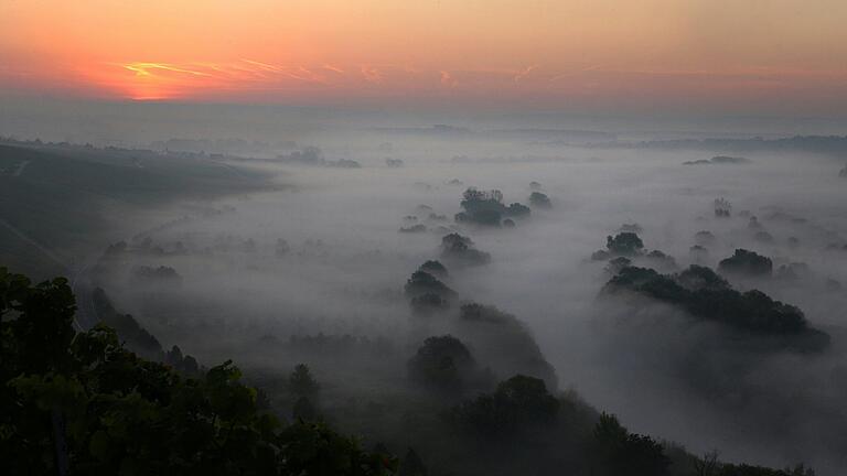 Nebel über den Weinbergen an der Mainschleife bei Escherndorf (Lkr. Kitzingen) während des Sonnenaufgangs zeigt dieses Archivfoto. In der neuen Woche erwarten uns in Unterfranken nach Nebelauflösung tagsüber milde Temperaturen und ein zumeist sonniger Tag zur Wochenmitte.