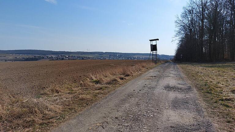 Lisa Heinrichs Lieblingslaufstrecke verläuft zum Teil auch am Waldrand entlang.