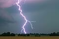 Dieses Symbolbild zeigt einen Blitz am Sommerhimmel. Gefährlich sind Gewitter für Menschen, die sich im Freien aufhalten.