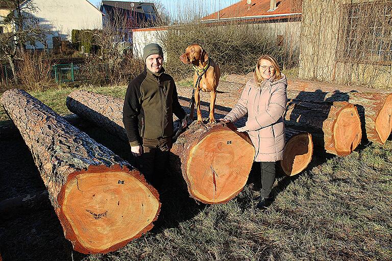 Die 'Braut', eine Lärche mit 1,28 Festmetern am Wertholzplatz Rentweinsdorf, in die Mitte genommen von der Geschäftsführerin der FBG Haßberge, Birgitt Ulrich, und Förster Marcel Waffler. Mit dabei Jagdhund 'Arko', ein Wischler, dessen Ursprung mit Ungarn verknüpft wird und der dort 'Magyar Vizsla' genannt wird. Die 'Braut', eine Lärche mit 1,28 Festmetern am Wertholzplatz Rentweinsdorf, in die Mitte genommen von der Geschäftsführerin der FBG Haßberge, Birgitt Ulrich, und Förster Marcel Waffler. Mit dabei Jagdhund 'Arko', ein Wischler, dessen Ursprung mit Ungarn verknüpft wird und der dort 'Magyar Vizsla' genannt wird.